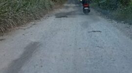 Oplus_131072