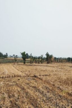 Rp25,8 Miliar Disiapkan, Pemkab Matangkan Lahan Sekolah Rakyat